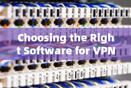Choosing the Right Software for VPN:A Guide to Professional Security
