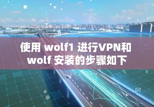 使用 wolf1 进行VPN和 wolf 安装的步骤如下