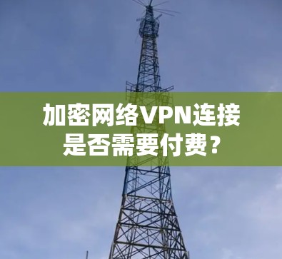 加密网络VPN连接是否需要付费？