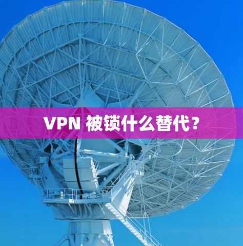 VPN 被锁什么替代？