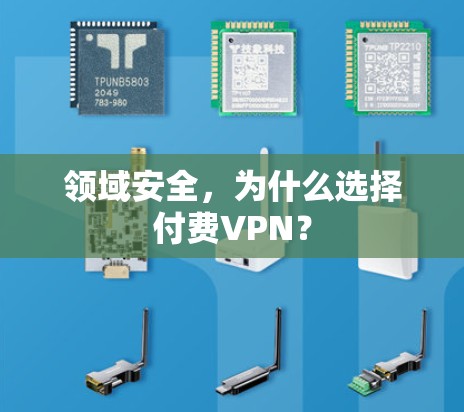 领域安全，为什么选择付费VPN？