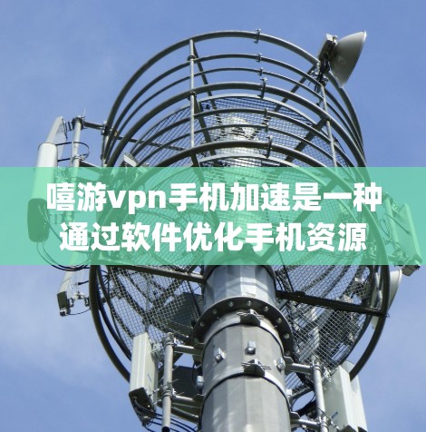 嘻游vpn手机加速是一种通过软件优化手机资源的加速服务，帮助用户提升手机性能并提高使用效率。以下是详细的使用方法和步骤