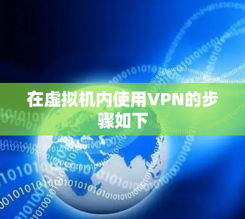 在虚拟机内使用VPN的步骤如下