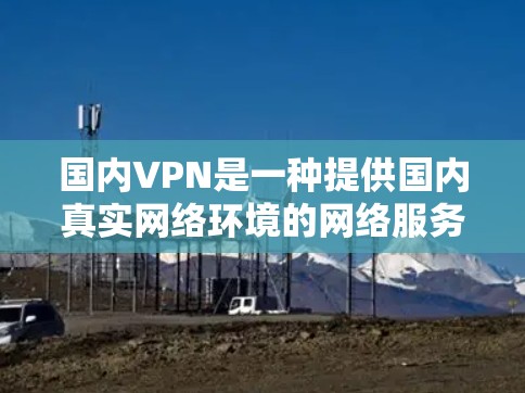 国内VPN是一种提供国内真实网络环境的网络服务，旨在解决用户对国际网站和云存储的访问限制问题。以下是关于国内VPN的详细信息