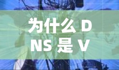 为什么 DNS 是 VPN 的关键？