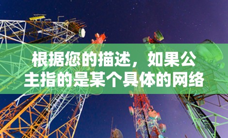 根据您的描述，如果公主指的是某个具体的网络服务提供商，或者指某个国家或地区的VPN服务提供商，我将提供相应的信息