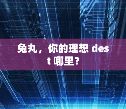 兔丸，你的理想 dest 哪里？