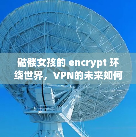 骷髅女孩的 encrypt 环绕世界，VPN的未来如何重塑我们的安全之视？