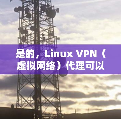 是的，Linux VPN（虚拟网络）代理可以用来访问外部互联网网络。它们通过VPN技术连接到外部网络，提供一个安全、非侵入性的网络连接方式