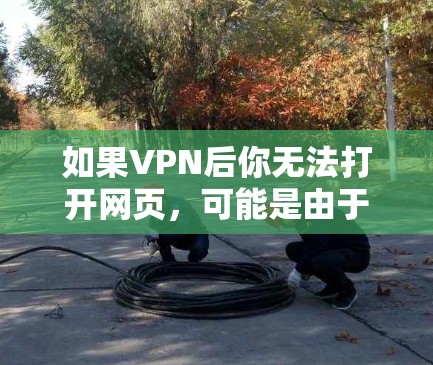 如果VPN后你无法打开网页，可能是由于以下原因导致的