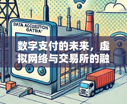 数字支付的未来，虚拟网络与交易所的融合