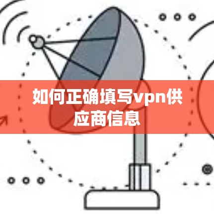 如何正确填写vpn供应商信息