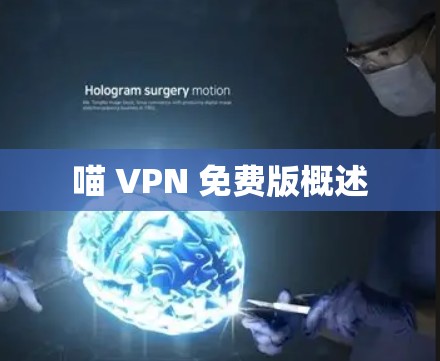 喵 VPN 免费版概述