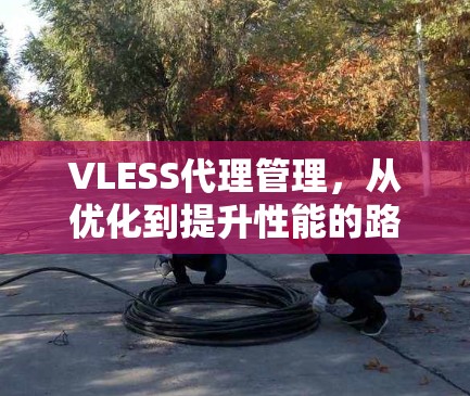VLESS代理管理，从优化到提升性能的路径