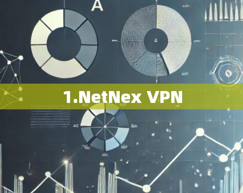 1.NetNex VPN