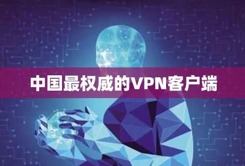 中国最权威的VPN客户端 中国最权威的VPN客户端