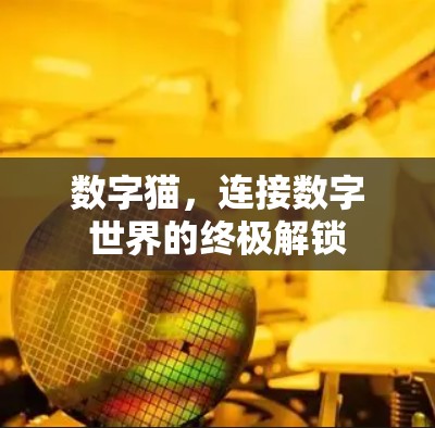 数字猫,连接数字世界的终极解锁 数字猫,连接数字世界的终极解锁