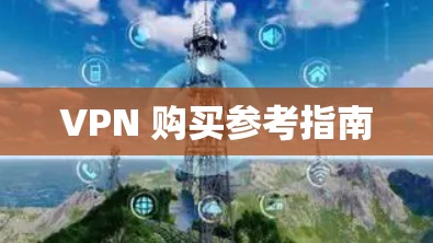 VPN 购买参考指南