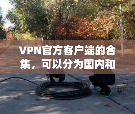 VPN官方客户端的合集，可以分为国内和国外的不同类别，以下是一些 commonly used 的 VPN 官方客户端推荐