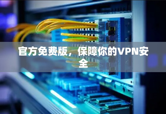 官方免费版，保障你的VPN安全