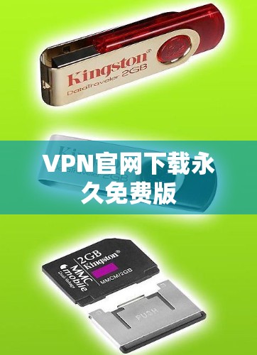 VPN官网下载永久免费版