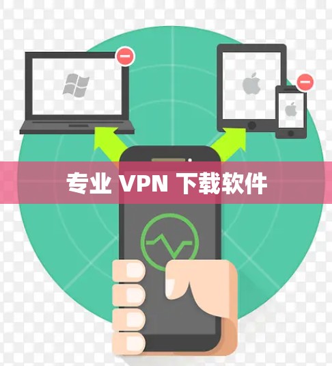 专业 VPN 下载软件
