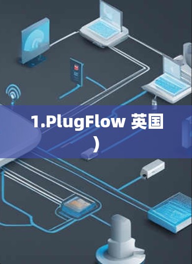 1.PlugFlow 英国)