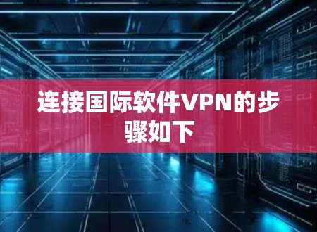 连接国际软件VPN的步骤如下