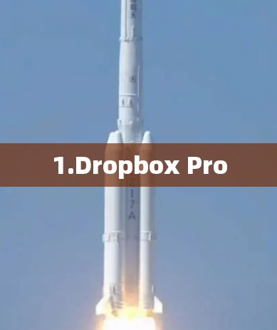 1.Dropbox Pro
