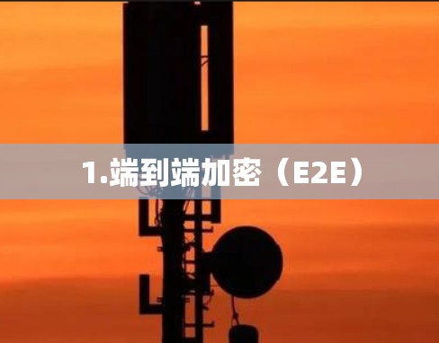 1.端到端加密（E2E）