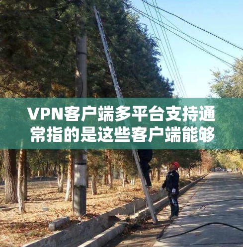 VPN客户端多平台支持通常指的是这些客户端能够通过不同的网络协议和平台与目标服务器建立VPN连接。以下是 VPN 客户软件多平台支持的主要说明